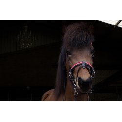 Komb. nserem med en rkke store sten