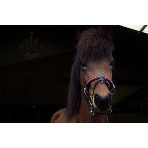 Komb. nserem med en rkke store sten