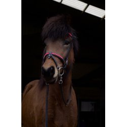 Komb. nserem med en rkke store sten