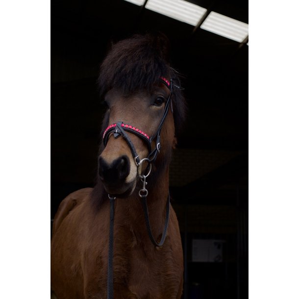 Komb. nserem med en rkke store sten