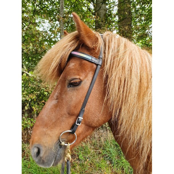 Trense Rainbow Glitter