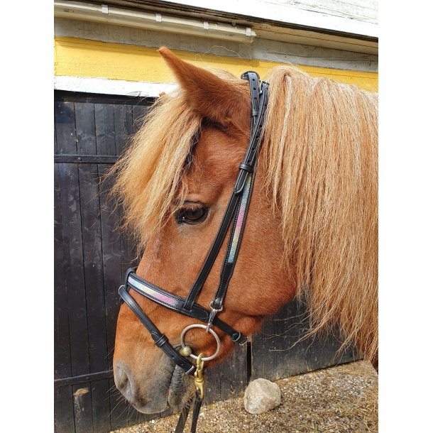 Komb. nserem med rainbow glitter