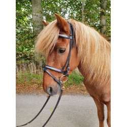 Komb. nserem med rainbow glitter