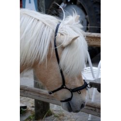 Ridekapsun - Model Holar