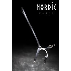 Ridekapsun - Model Holar