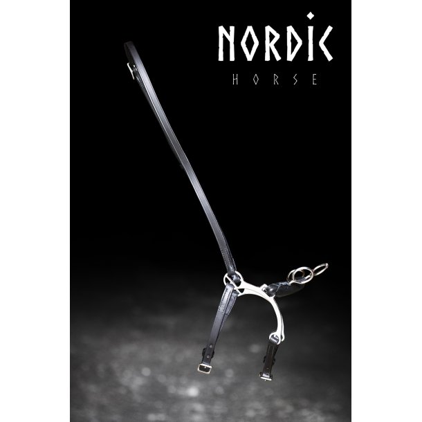 Ridekapsun - Model Holar