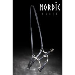 Ridekapsun - Model Holar