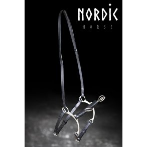 Ridekapsun - Model Holar