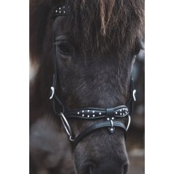 Eng/Komb. nserem Seawave