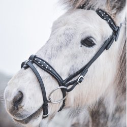 Eng/Komb. nserem Seawave