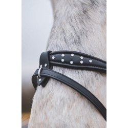 Eng/Komb. nserem Seawave