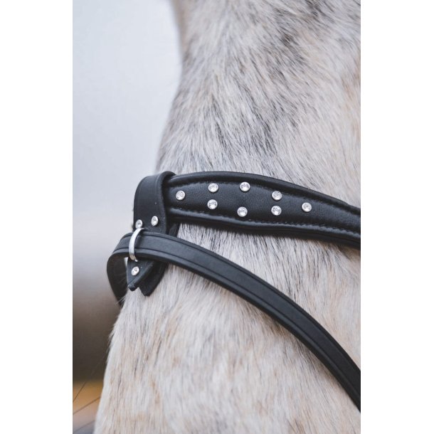 Eng/Komb. nserem Seawave