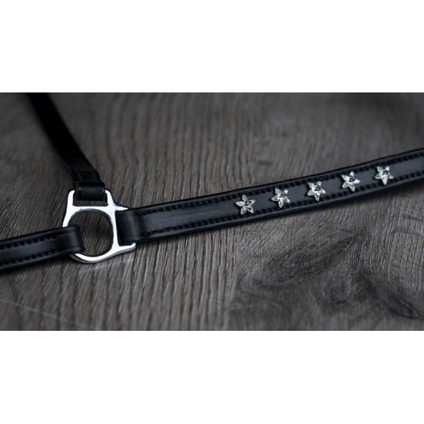 Nserem med stjernesten